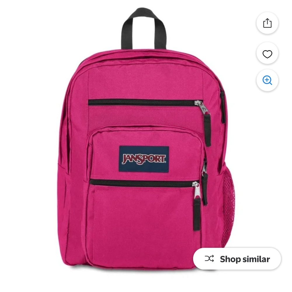 Jansport Fuchsia Backpack Big